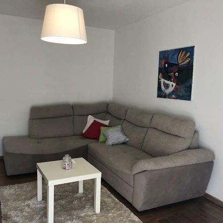 Apartment Safran Novigrad  Ngoại thất bức ảnh