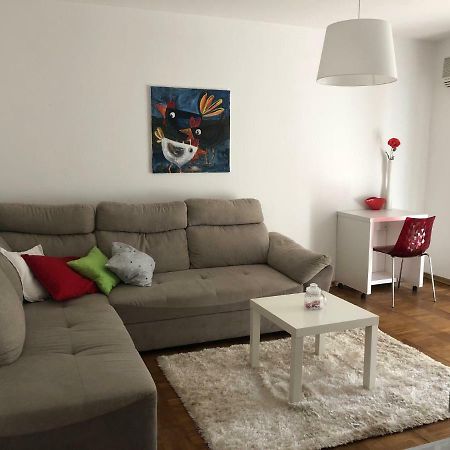 Apartment Safran Novigrad  Ngoại thất bức ảnh