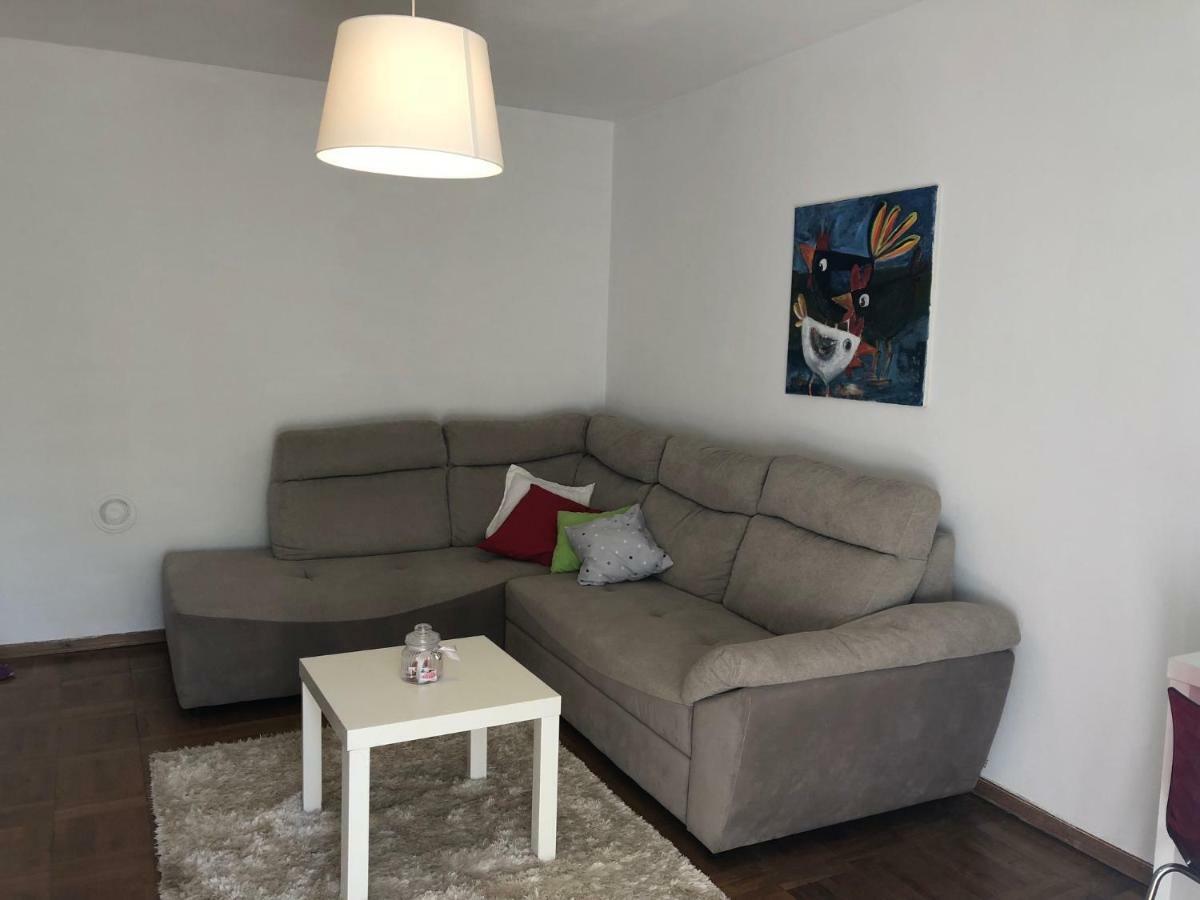 Apartment Safran Novigrad  Ngoại thất bức ảnh