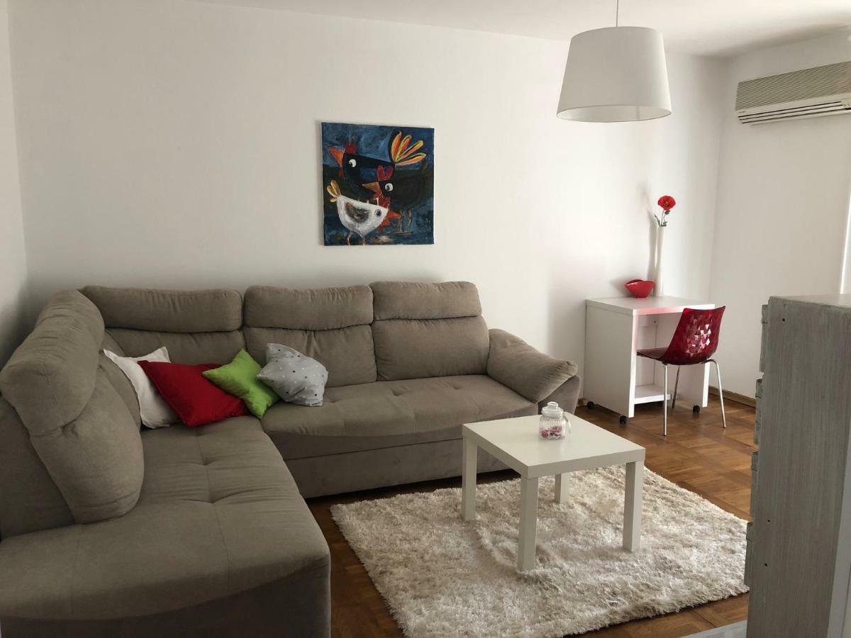 Apartment Safran Novigrad  Ngoại thất bức ảnh