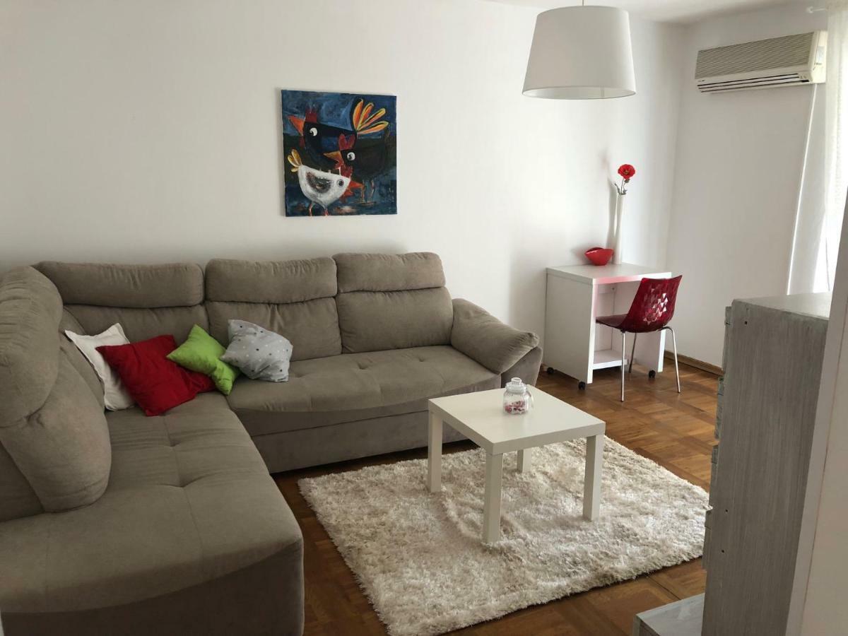 Apartment Safran Novigrad  Ngoại thất bức ảnh